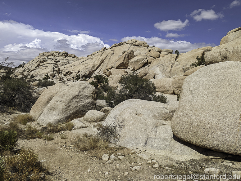 Joshua Tree National Park